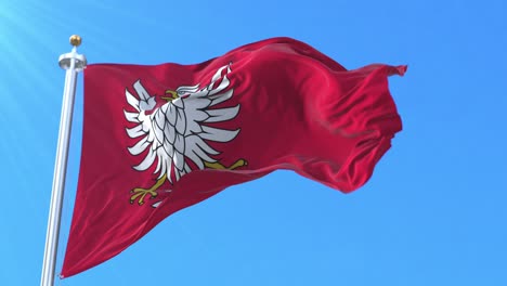 masovian voivodeship flag, poland. loop