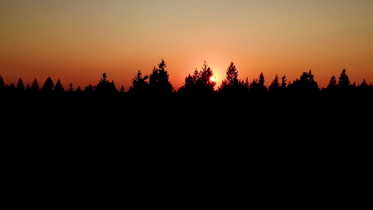 silueta de árboles coníferos durante un ardiente atardecer dorado en las montañas