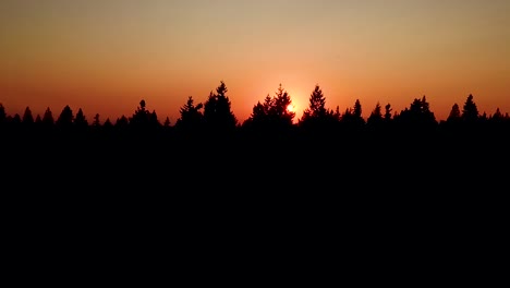 Silueta-De-árboles-Coníferos-Durante-Un-Ardiente-Atardecer-Dorado-En-Las-Montañas