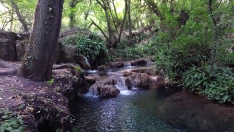 cascada en un día de primavera