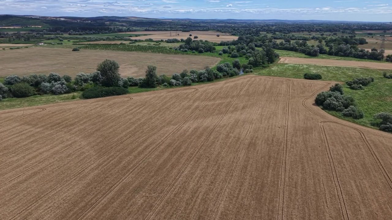 Eine Luftaufnahme zeigt ein weites abgeerntetes Feld mit deutlichen Traktorspuren, die sich in die Ferne ziehen, begrenzt von Bäumen unter einem hellen Sommerhimmel, das landwirtschaftlichen Überfluss symbolisiert.