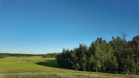 Endless-green-fields-extend-beneath-a-brilliant-blue-sky,-framed-by-lush-trees-in-the-tranquil-essence-of-Yakutia,-creating-a-serene-summer-atmosphere