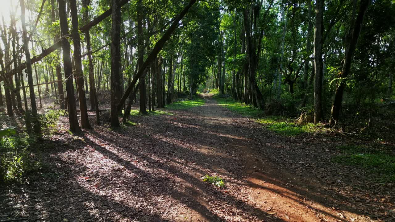 Vista panorámica de un sendero vacío y tranquilo en el Bosque Artificial de la Isla de Guimaras, Visayas, Filipinas, durante el atardecer.