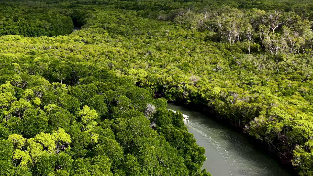 Aerial tracking shot of small boat navigating winding river through dense tropical rainforest, daylight