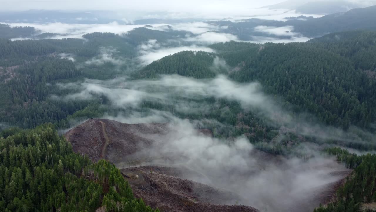 estados unidos, o, ciudad de lincoln,, 2024-12-14 - vista de avión no tripulado de un área de tala limpia fuera de la ciudad de lincoln