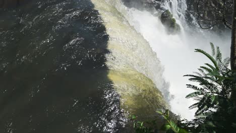 iguazu-wasserfall in argentinien, slow-motion-panning-anblick des watefall-flusses, der von einer hohen regenwaldklippe fällt, landschaft von klarem, farbenfrohem wasser, das in einen tauchbecken in iguacu, südamerika, stürzt