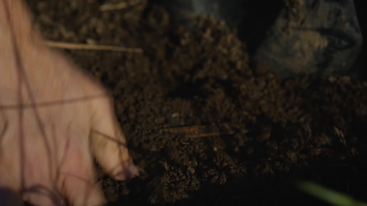 Mani di agricoltore che piantano nel terreno arato
