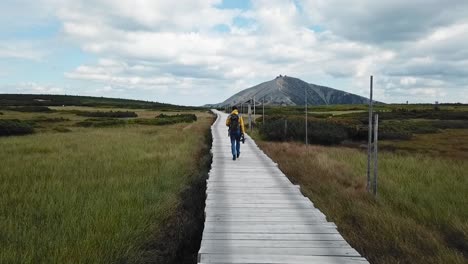 Isolated-Hiker-at-Upa-peat-bog-in-Krkonose-or-Giant-mountains,-Czech-republic-with-Snezka-peak-in-the-distance,-drone-follow-and-orbit,-4k-or-UHD,-30fps