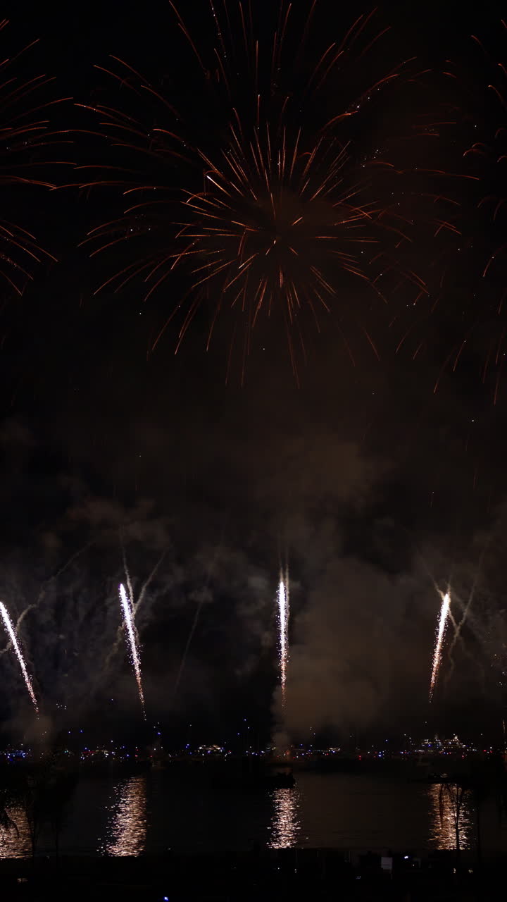Fireworks on the sky at the Cannes Fireworks Festival at night. Vertical