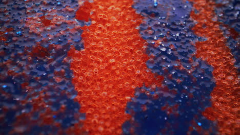 close-up of a textured sponge with orange and blue stripes