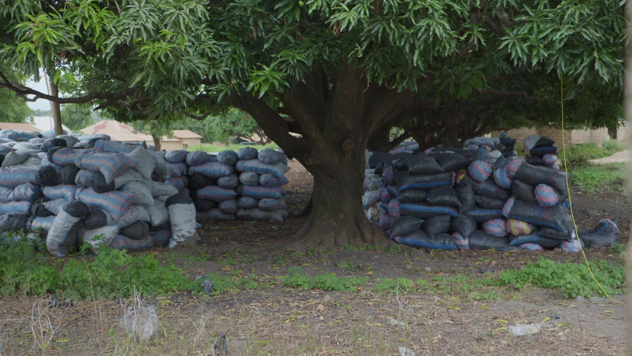 Sacks of Charcoal Stacked for Sale in Africa 6