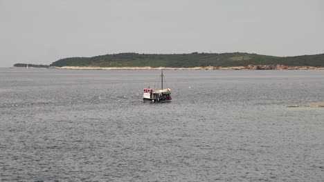 trawler chased by seagulls looking for scraps