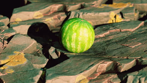 bayas de frutas de sandía en piedras rocosas