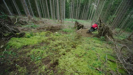 一名山地自行车手骑行在伐木森林中