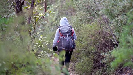 Indigenous-Australian-girl-descending-deep-into-the-Australian-bush