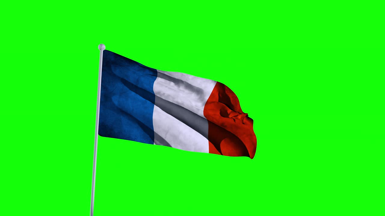 4k 현실적인 프랑스 발 애니메이션, 알파 영상 포함되어 있습니다.