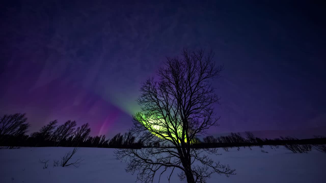 A mesmerizing video captures the aurora borealis with a low-angle shot, highlighting vibrant green