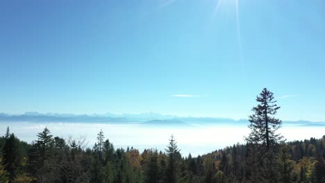 A-drone-flies-over-an-alpine-forest-with-views-across-a-large-lake-and-in-the-distant-haze-a-majestic-view-of-the-Mont-Blanc-massive-and-high-peaks-of-the-Swiss-and-French-alps