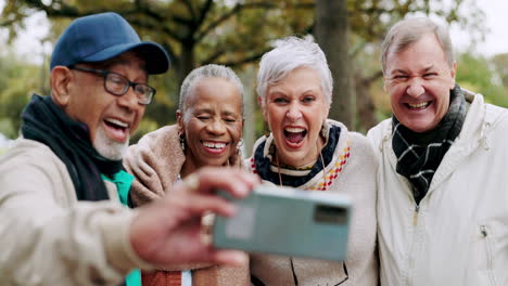 selfie, happy and group of senior friends