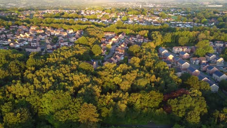 aerial view of suburban houses during sunrise dramatic lighting