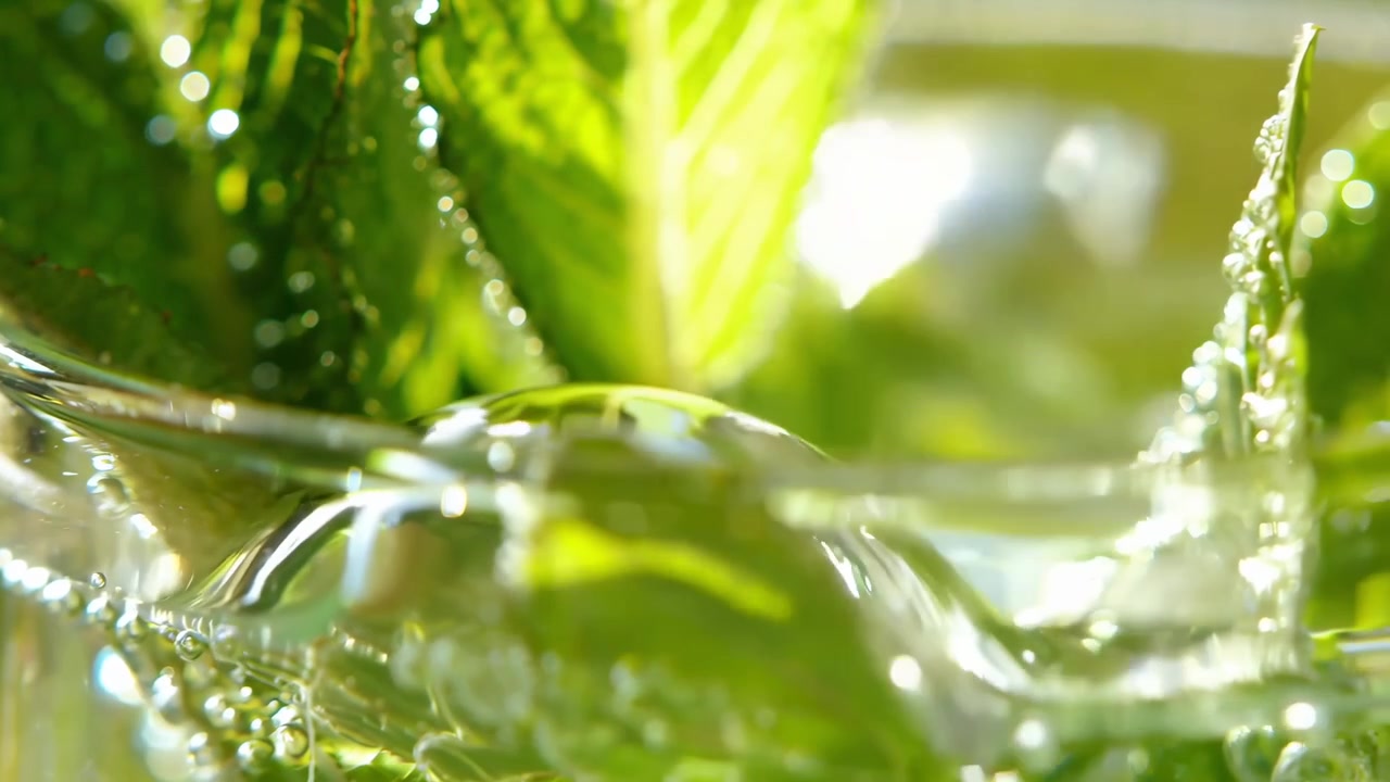 Folhas de Hortelã Frescas Submersas em Água com Gás
