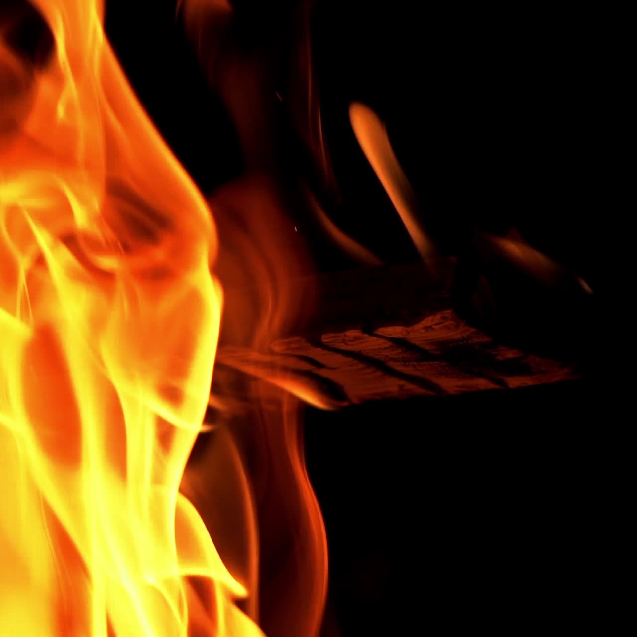 Bright burning wood slow motion. Fire flame. Bonfire