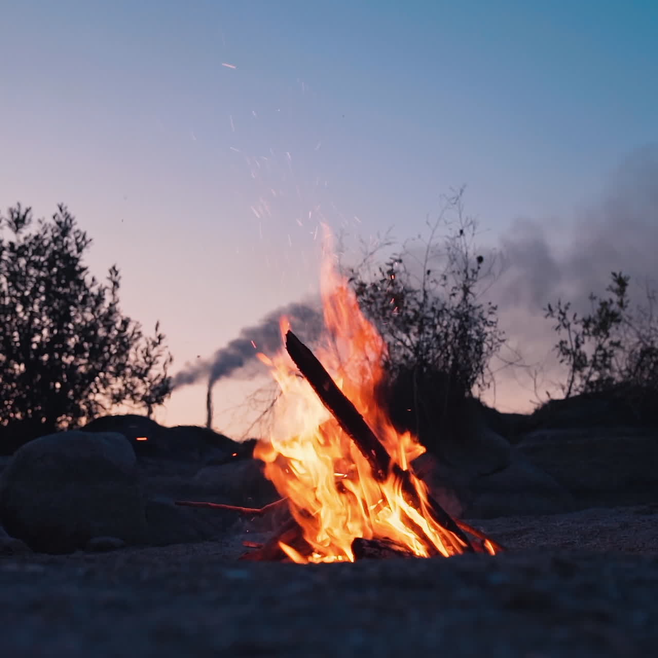 Blazing campfire burning at summer evening. Burning orange flames in natural calm atmosphere. No people around the fire. Camping fire concept.
