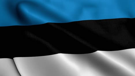 bandiera dell'estonia