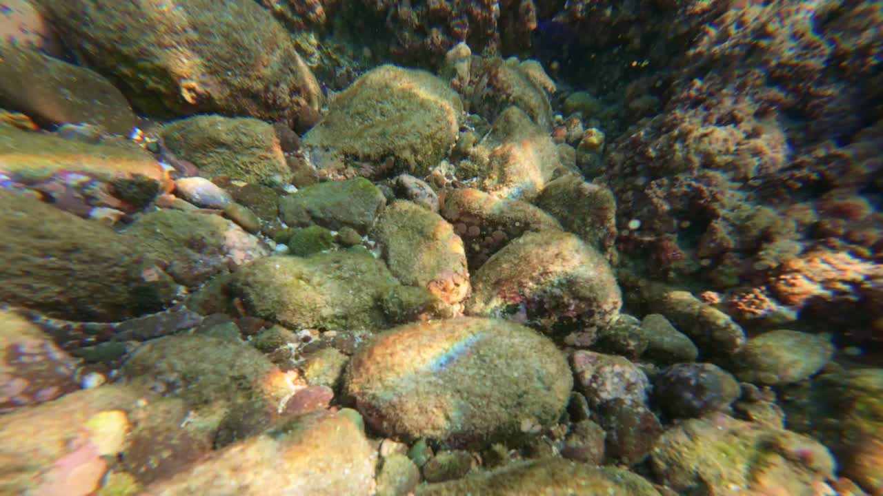 Immerse in the underwater world of Tenacatita, Jalisco, with this detailed view of vibrant rocks and marine textures. Sunlight dances on the rocky seabed, creating a tranquil scene