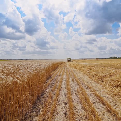 máquina de cosecha que trabaja en el campo