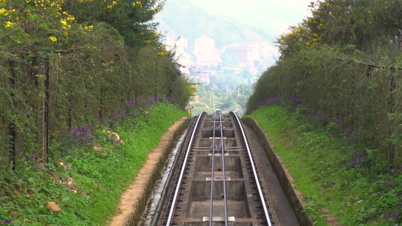 Funicular railroad tracks cutting through lush vegetation, with yellow and purple flowers lining the sides, culminating in a distant view of a quaint city nestled among hills, Sapa, Vietnam.