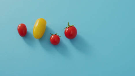 Video-of-four-fresh-cherry-and-yellow-tomatoes-with-copy-space-on-blue-background