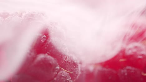 fresh raspberry with dry ice fog