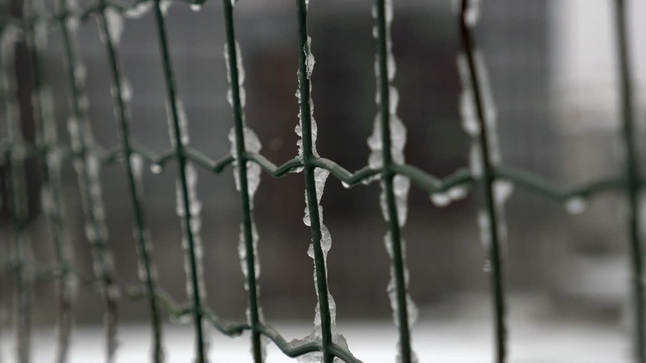 cerca de una valla de metal congelada en el invierno
