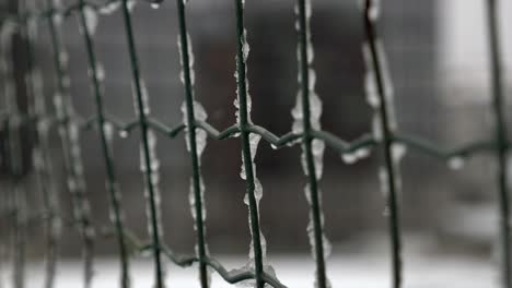 close up of a frozen metal fence in the winter