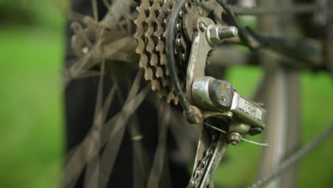 primer plano de una persona de pie junto a una bicicleta estacionada en un campo cubierto de hierba, la persona levanta ligeramente el neumático trasero y pedalea brevemente, haciendo que el neumático gire, con un fondo borroso