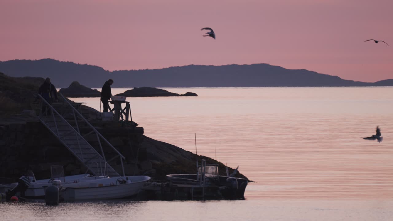 Two fishermen cleaning and gutting fish on the shore. Seagulls fly nearby waiting for food. The setting sun paints the scene in hues of pink.