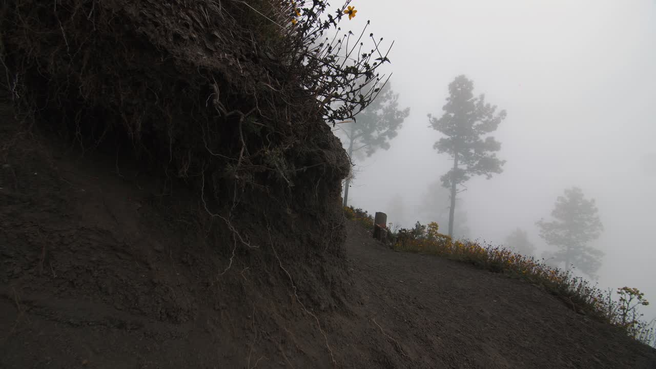 Misty forest during a high altitude hike - Slow-motion handheld footage