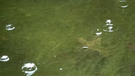 Regentropfen-Spritzen-Auf-Einen-Teich,-Während-Blasen-Flussabwärts-Schweben