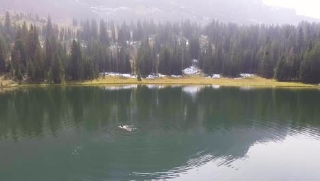 camera rotates around single woman swimming in a beautiful lake