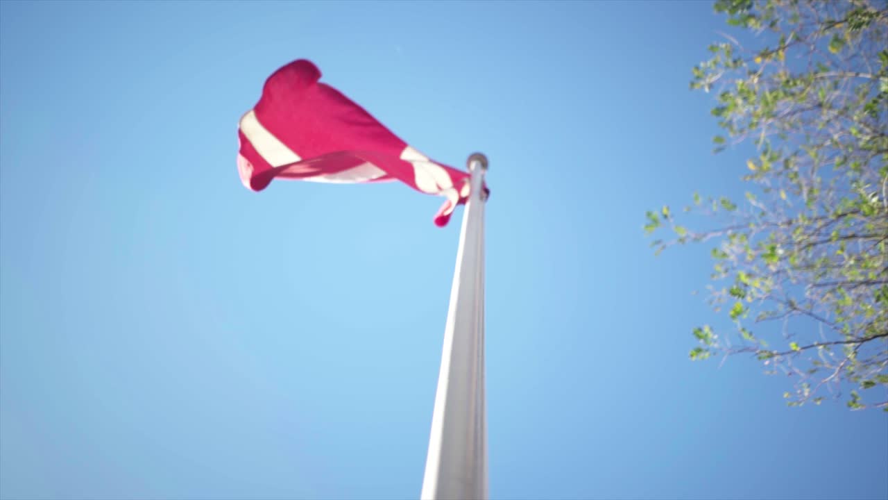 Denmark country flag - Slow motion.