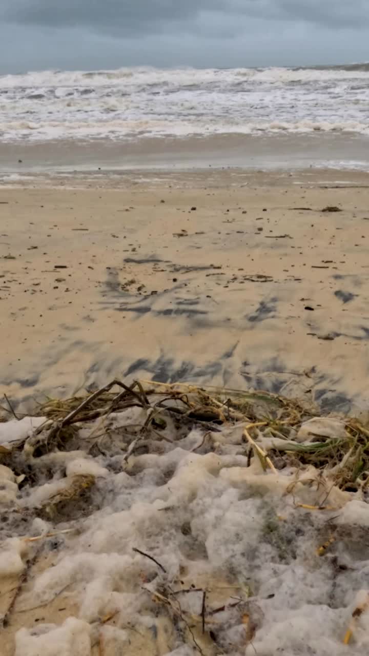 바다의 거품과 잔해가 있는 폭풍우가 많은 해변 장면은 구름이 가득한 하늘 아래에서 촬영되어 자연의 원시적인 힘을 강조합니다.