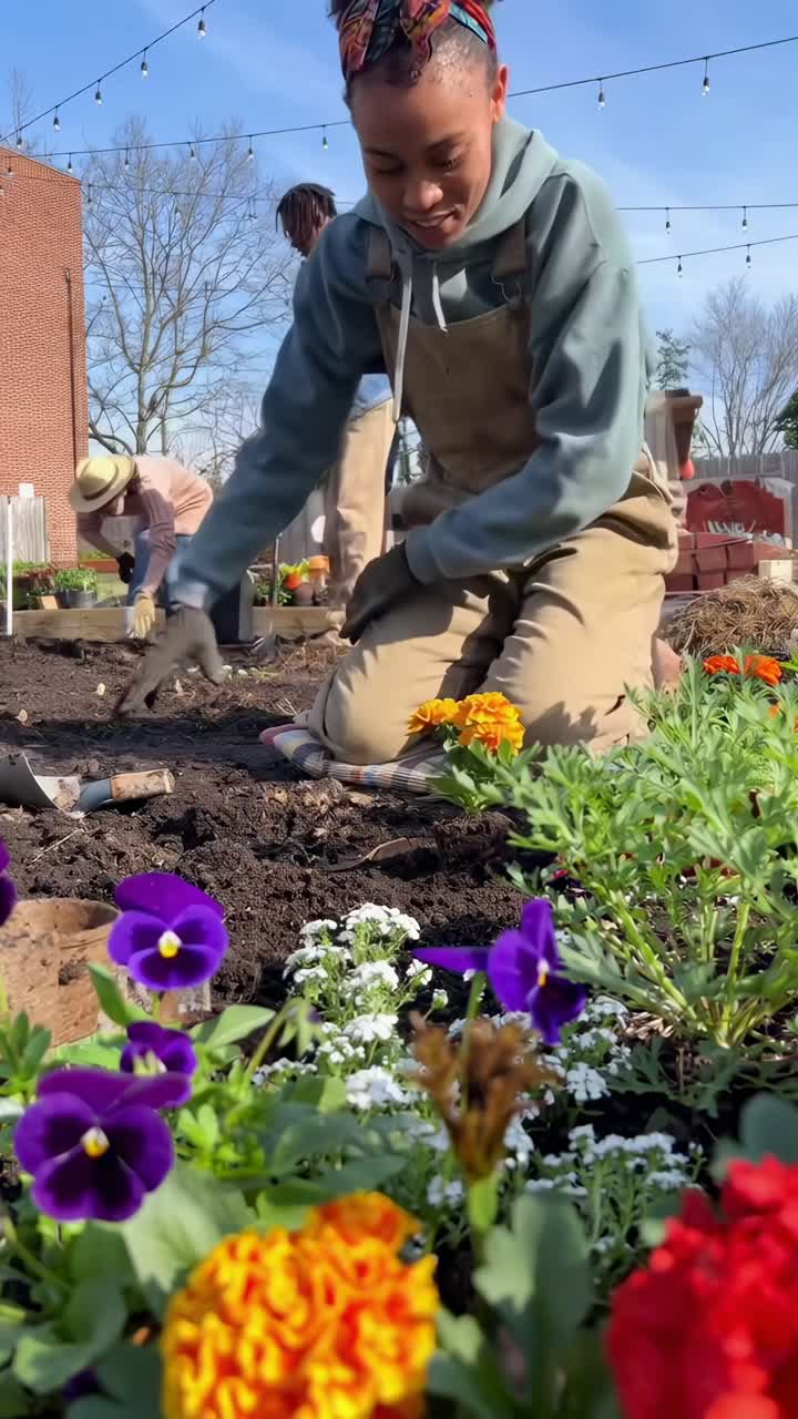Low-angle video of diverse group gardening, capturing vibrant flowers and teamwork