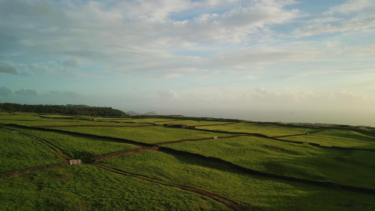 Aerial view from drone of Terceira Island - Green fields