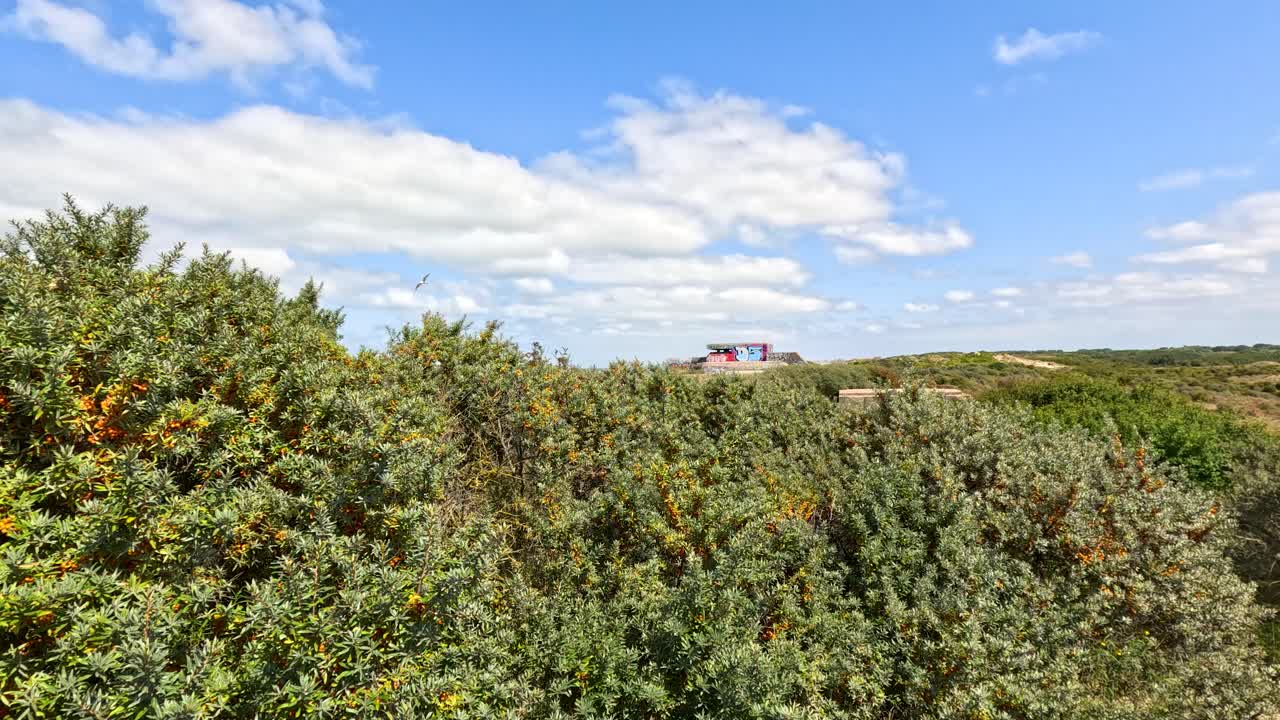 Drone glides above dense green shrubland under bright daylight, gradually revealing a distant historic fort on the horizon near Dunkirk, France