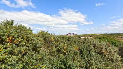 drone glides above dense green shrubland under bright daylight, gradually revealing a distant historic fort on the horizon near dunkirk, france