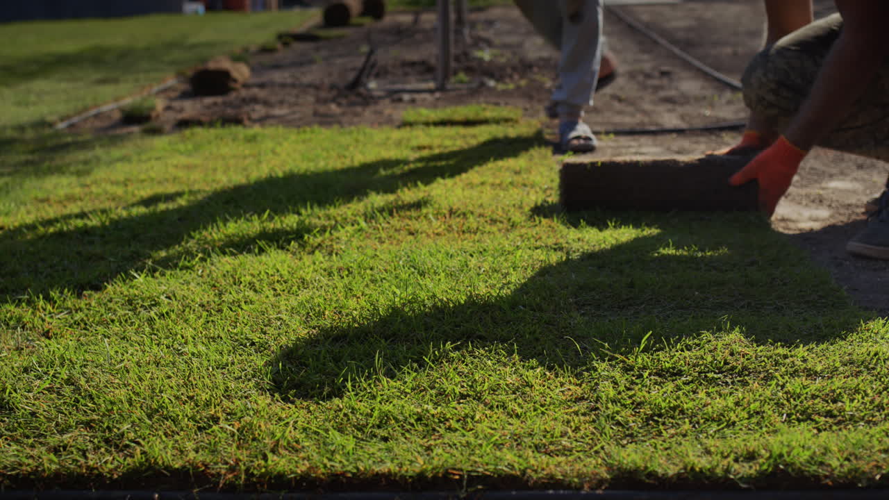 한 남자가 땅에 굴러진 잔디 ⁇ 을 놓는다. 자연 잔디 ⁇  잔디 ⁇ 으로 사이트의 빠른 조경