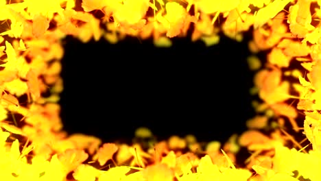 el giro de las hojas de otoño, ginkgo, animación cg, bucle