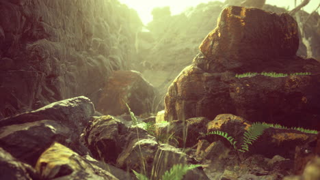 exploring a serene rocky landscape with lush green vegetation at sunrise