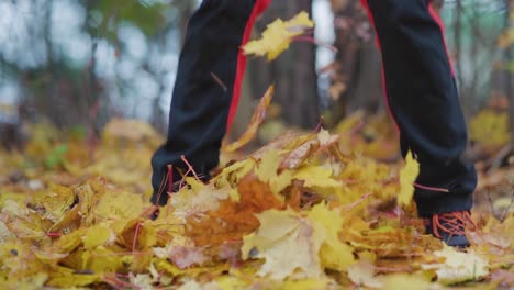 man jumping on a small pile of maple leaves